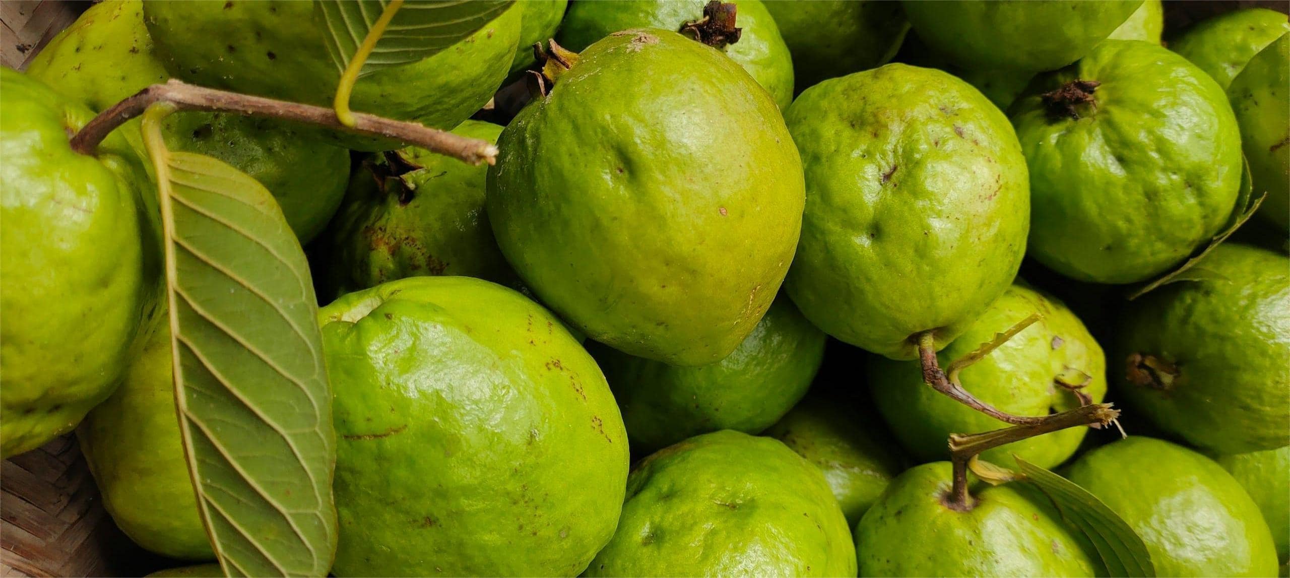 Low Carb Burner 低糖燃脂 - Fruit Pack