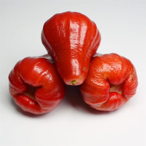 Jambu Air - Whole 500g